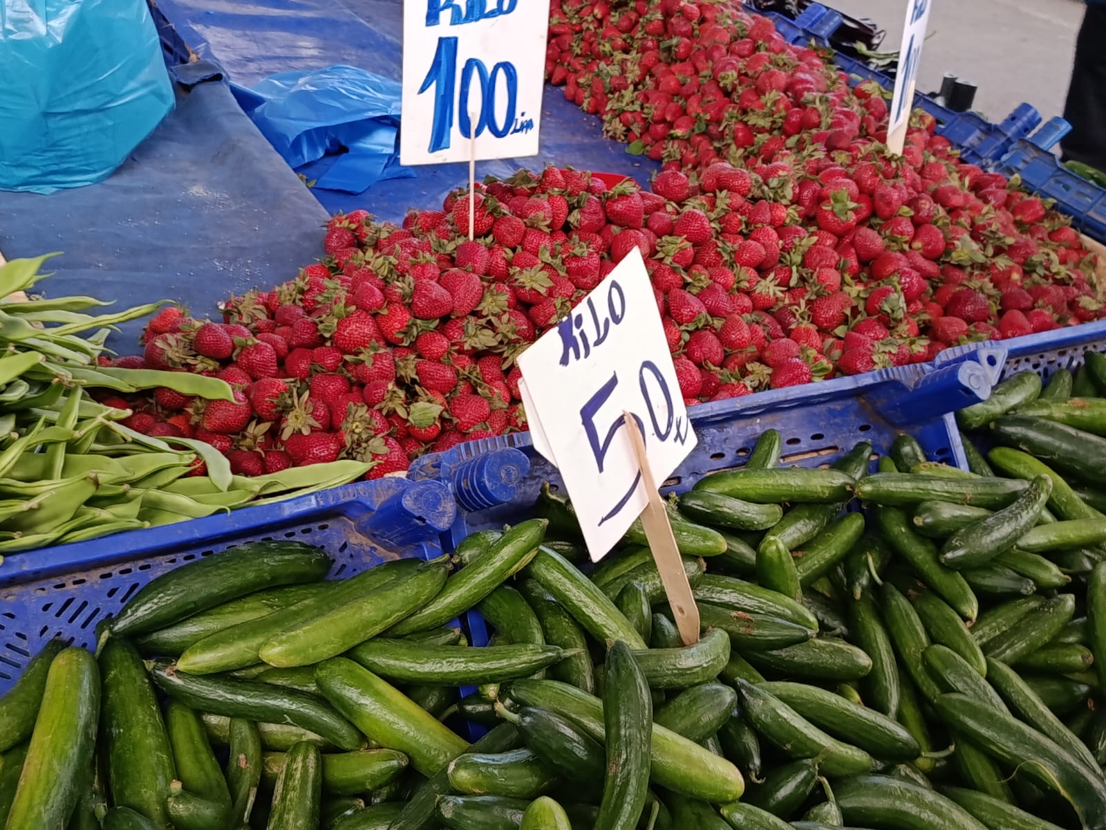 Edirne’de bahar güneşinin yüzünü göstermesiyle birlikte vatandaşlar pazar alanlarına akın ederken, haftanın sürprizi fiyatı hızla gerileyen salatalık oldu. Geçtiğimiz aylarda yüksek fiyatı nedeniyle yanına yaklaşılamayan salatalık, bu hafta tezgâhların en çok satılan ürünü haline geldi.